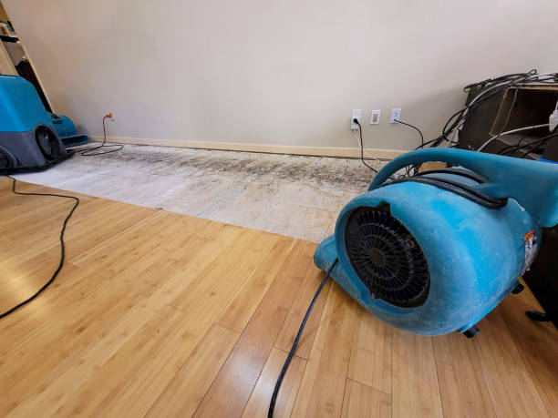 Professional Structural Drying technician working in Milton, NH